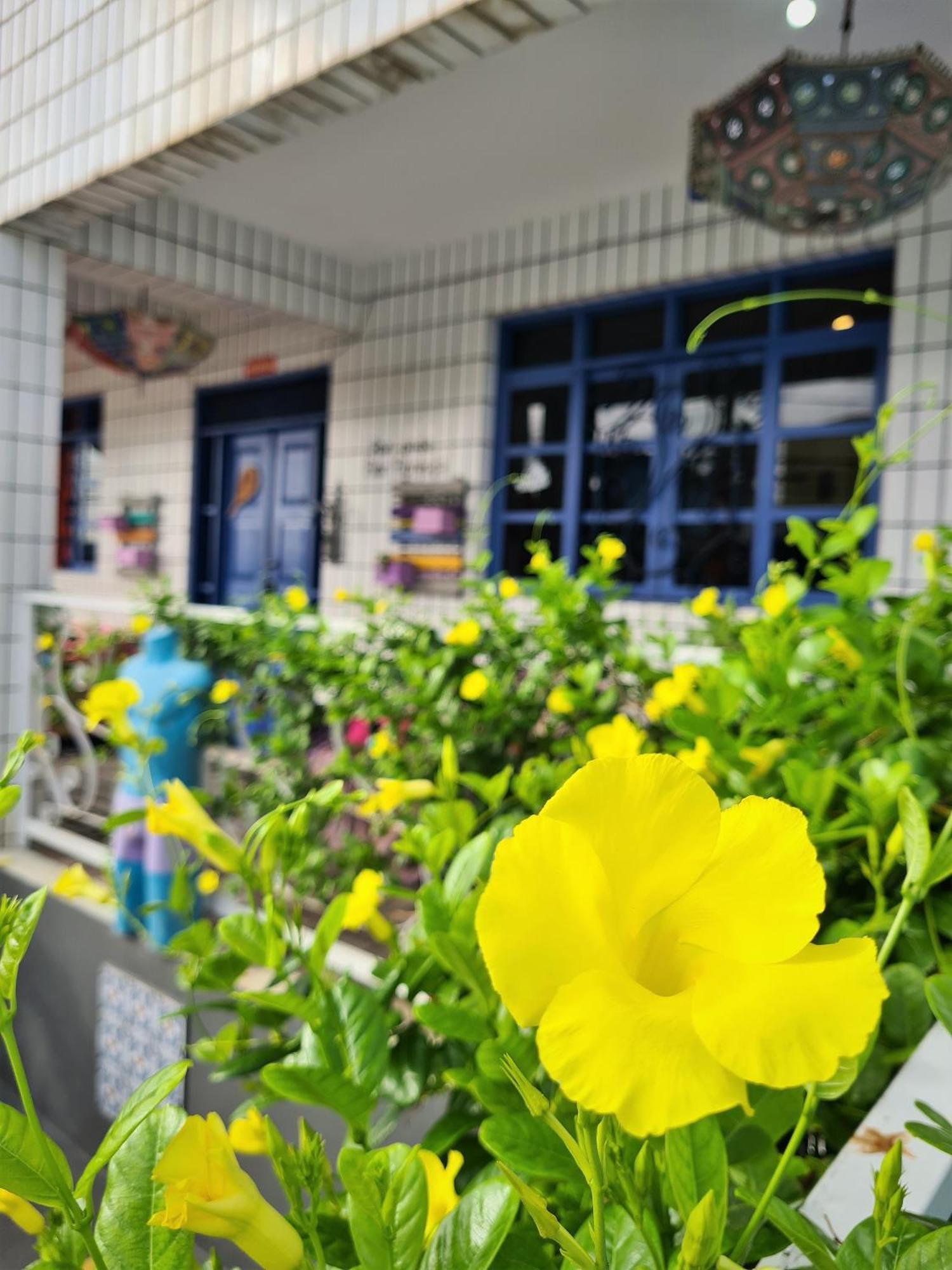 Soul Hostel Натал Экстерьер фото